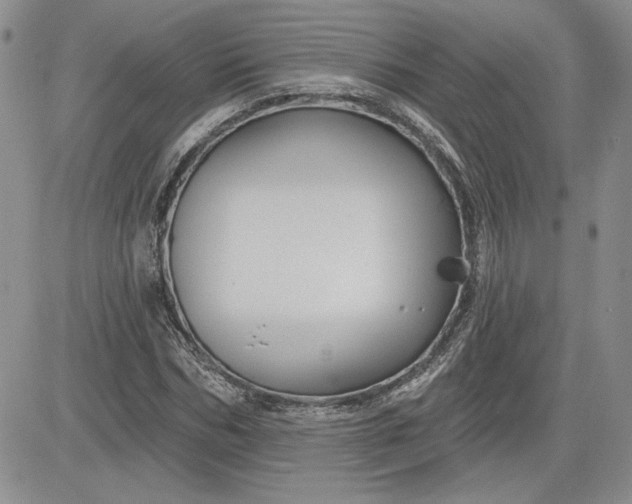 X0000081420970200701261550