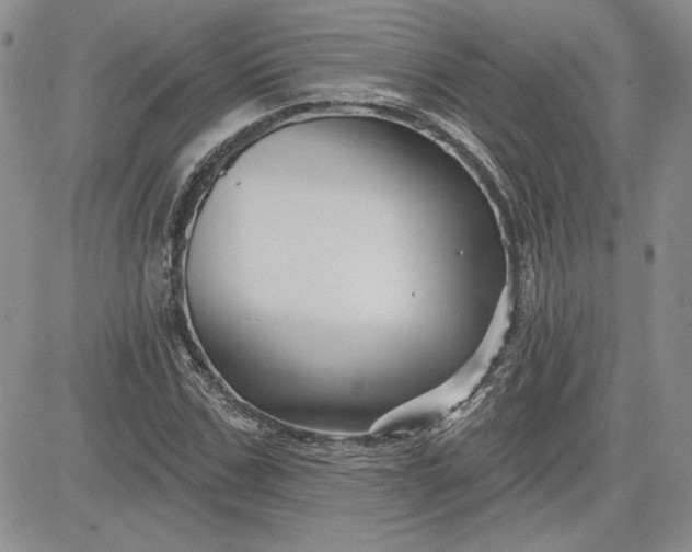 X0000081420971200701261550