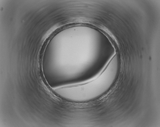 X0000081420972200701261549