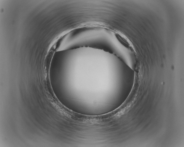 X0000081420973200701261549