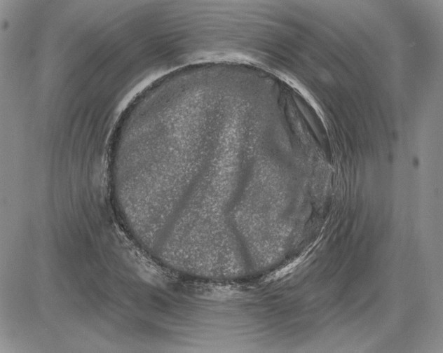 X0000081420975200701261549