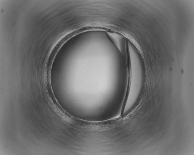 X0000081420976200701261549