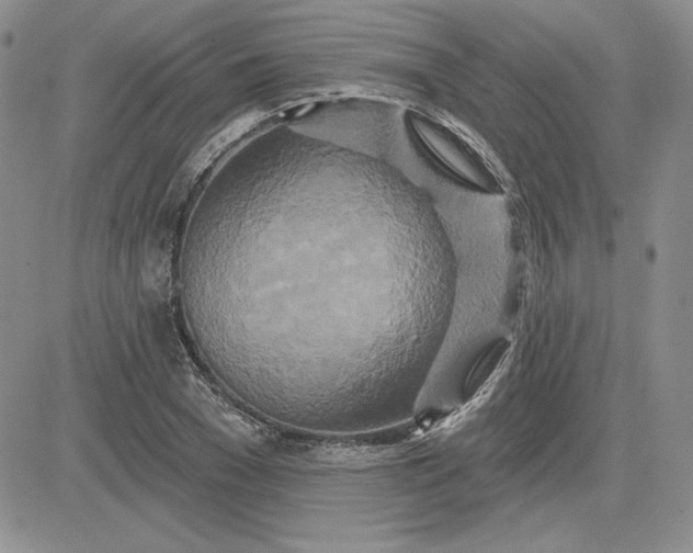 X0000081420977200701261549