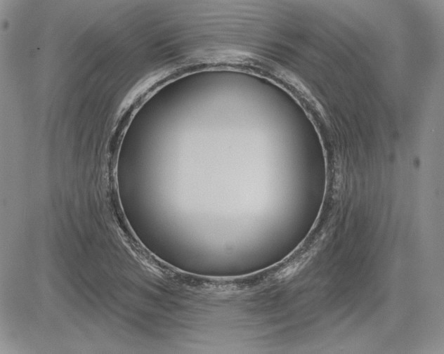 X0000081420978200701261549