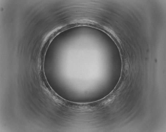 X0000081420979200701261549