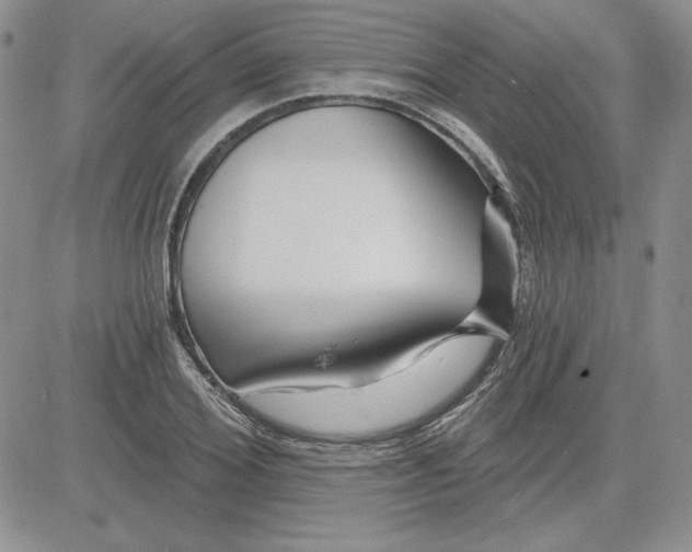 X0000081420980200701261549