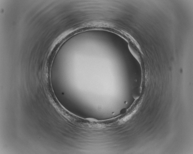 X0000081420981200701261549