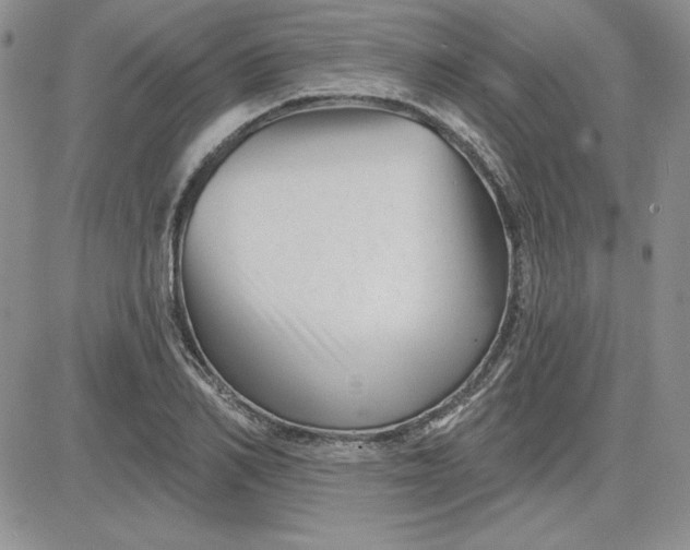 X0000081420982200701261549