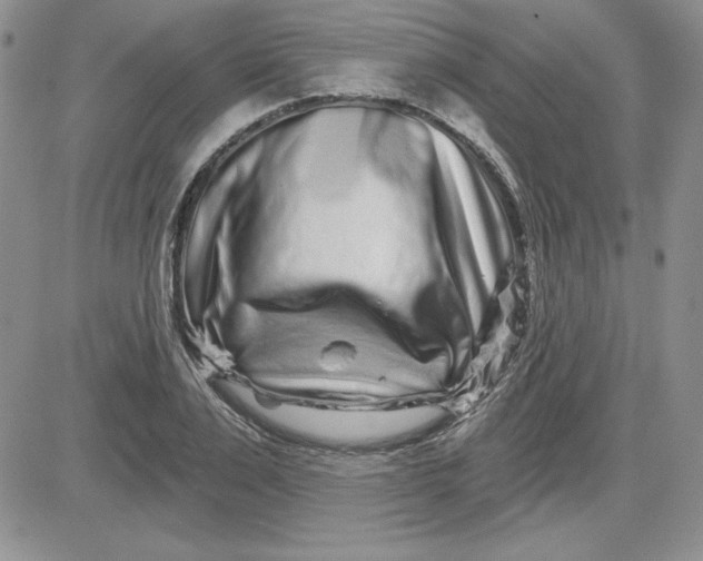 X0000081420983200701261549