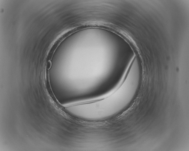 X0000081420984200701261549