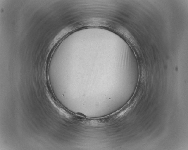 X0000081420986200701261549