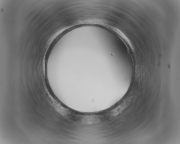 X0000081420988200701261549