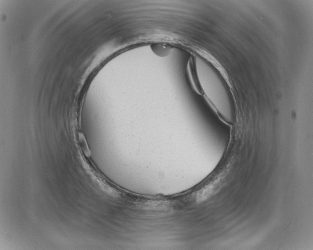 X0000081420989200701261549