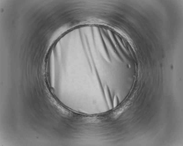 X0000081420990200701261549