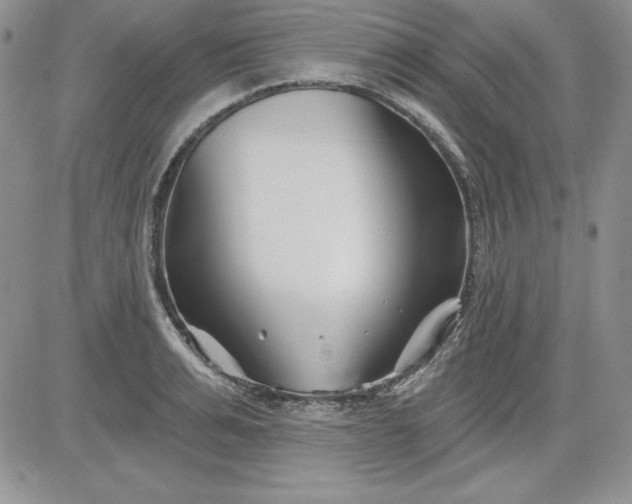 X0000081420991200701261549