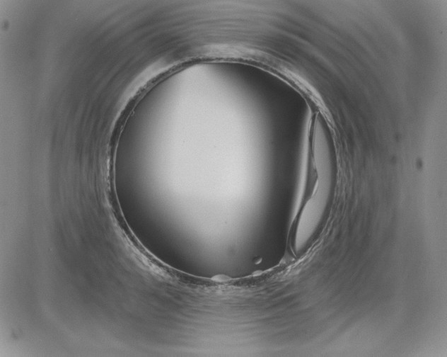 X0000081420992200701261549