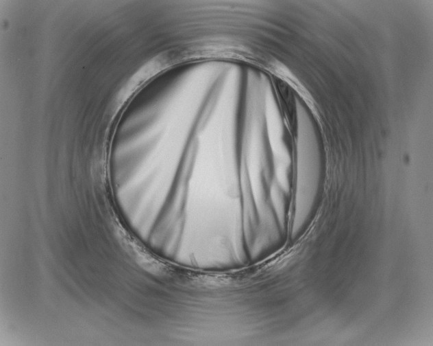 X0000081420994200701261549