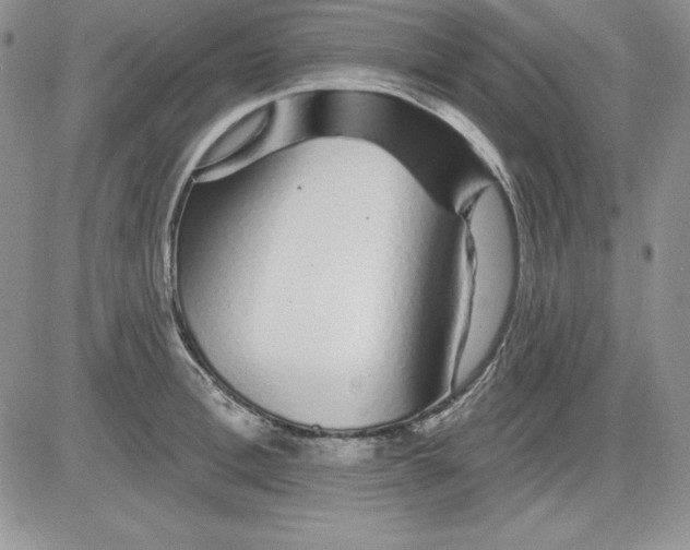 X0000081420996200701261549