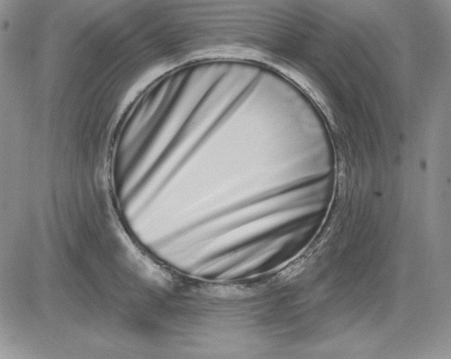 X0000081420998200701261549