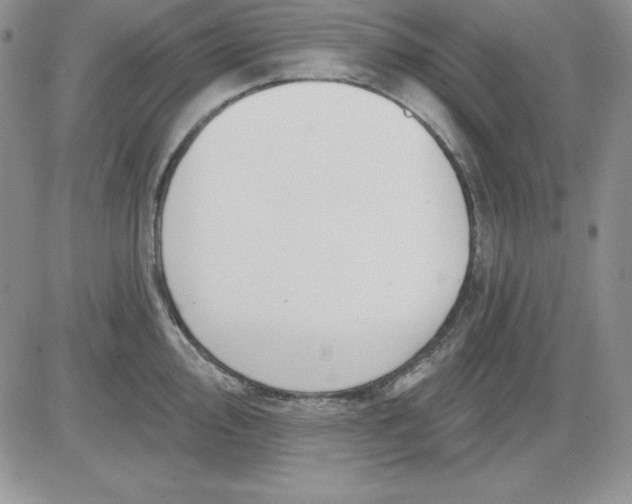 X0000081421000200701261549