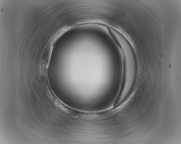 X0000081421001200701261549