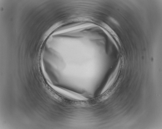 X0000081421002200701261549