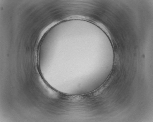 X0000081421003200701261549