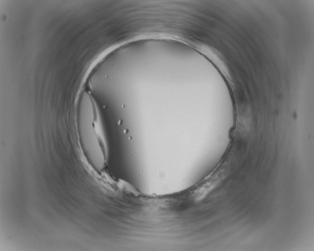 X0000081421004200701261549