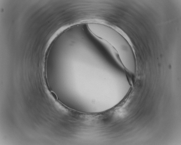 X0000081421005200701261549