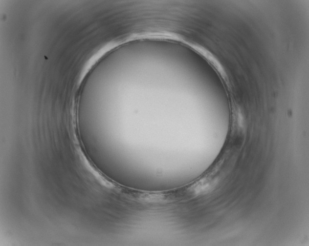 X0000081421006200701261549