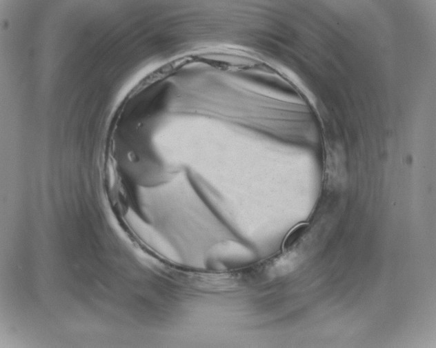 X0000081421007200701261549