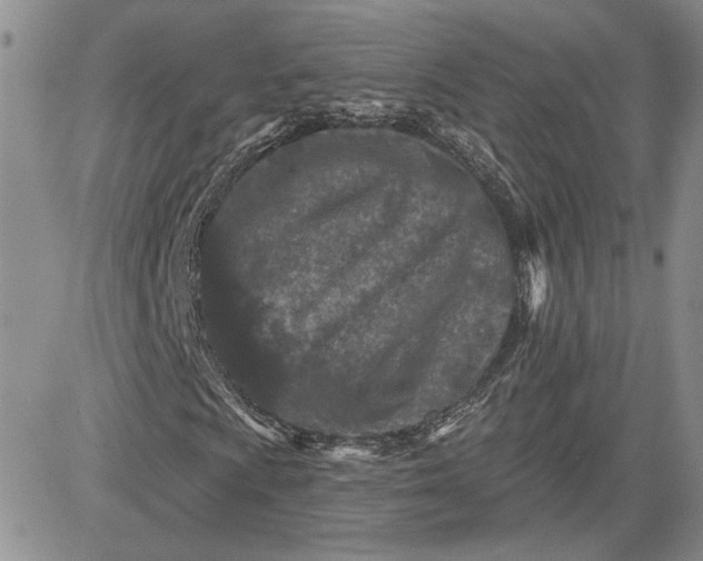 X0000081421009200701261548