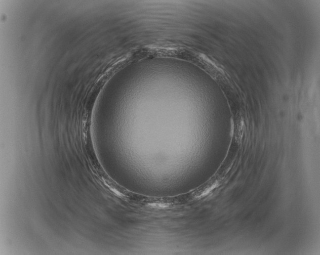 X0000081421010200701261548