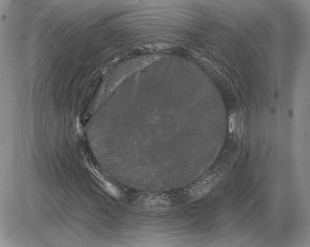 X0000081421011200701261548