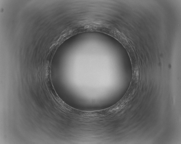 X0000081421012200701261548