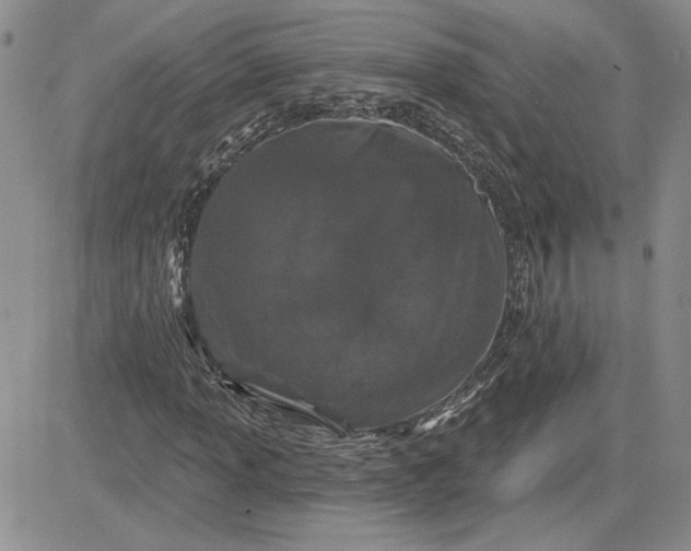 X0000081421013200701261548