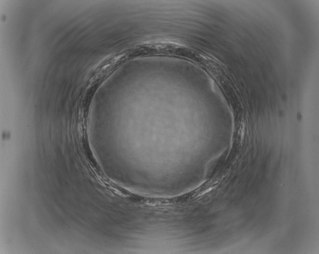 X0000081421014200701261548