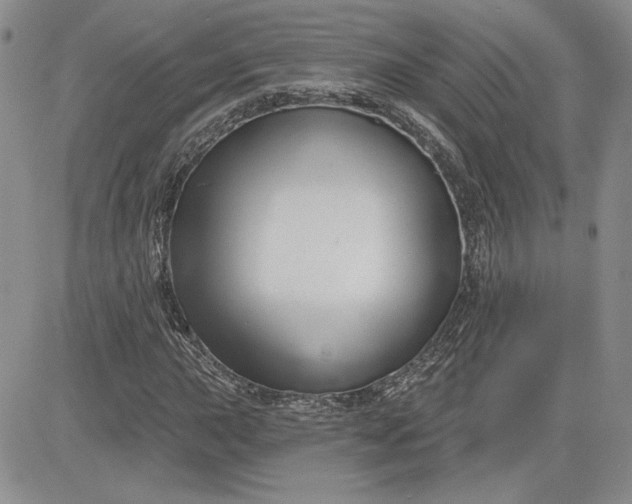 X0000081421015200701261548