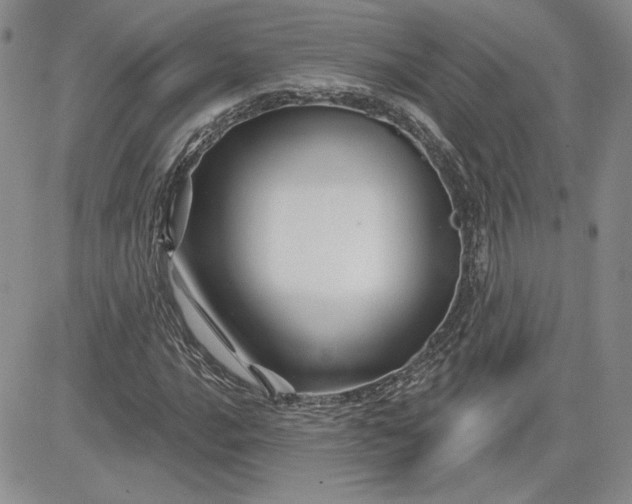 X0000081421016200701261548