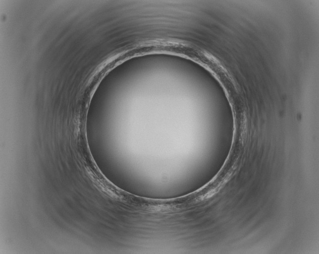 X0000081421017200701261548