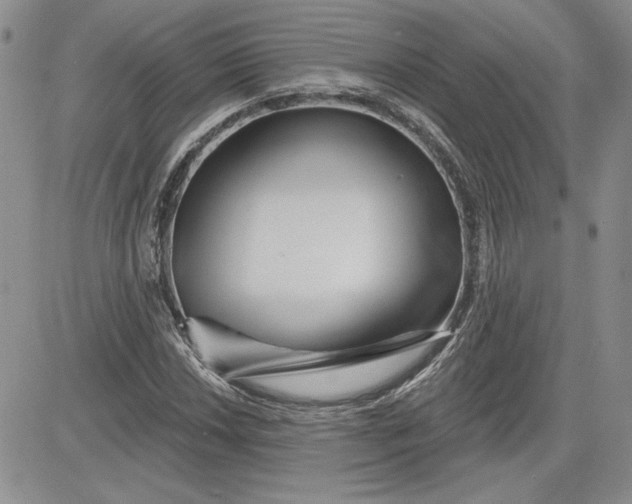 X0000081421018200701261548