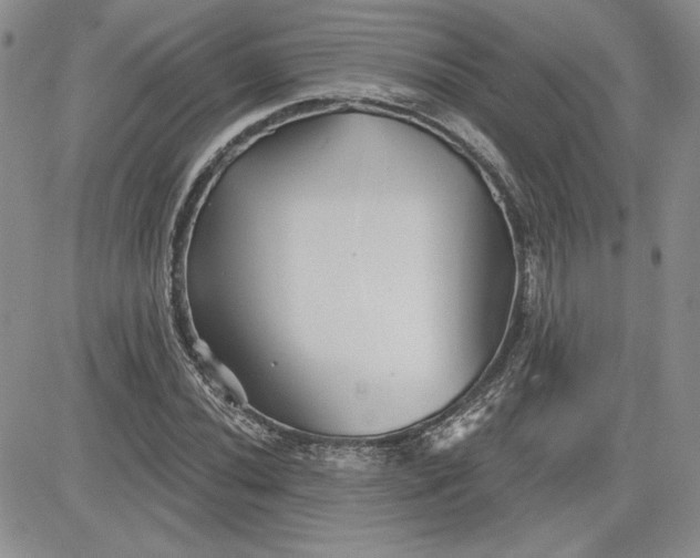 X0000081421020200701261548