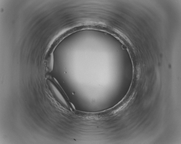 X0000081421021200701261548