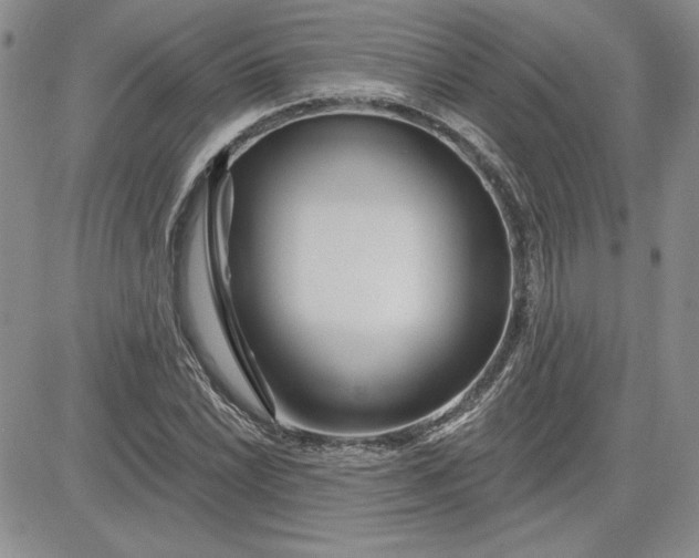 X0000081421022200701261548