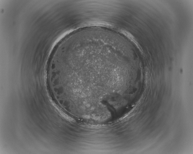 X0000081421024200701261548