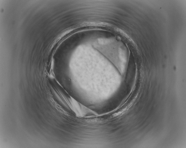 X0000081421025200701261548