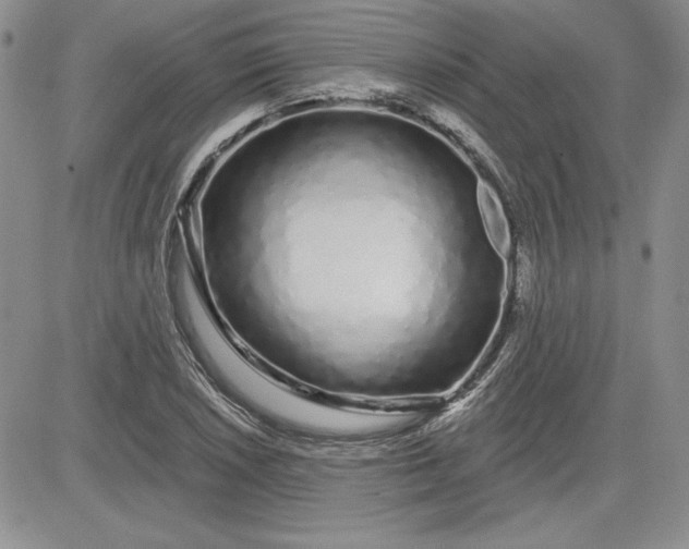 X0000081421026200701261548