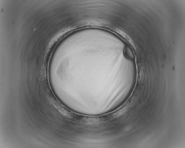 X0000081421027200701261548