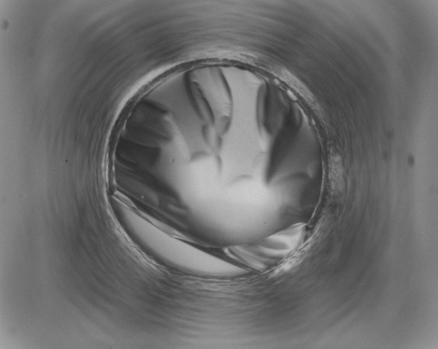 X0000081421028200701261548