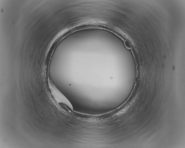 X0000081421029200701261548